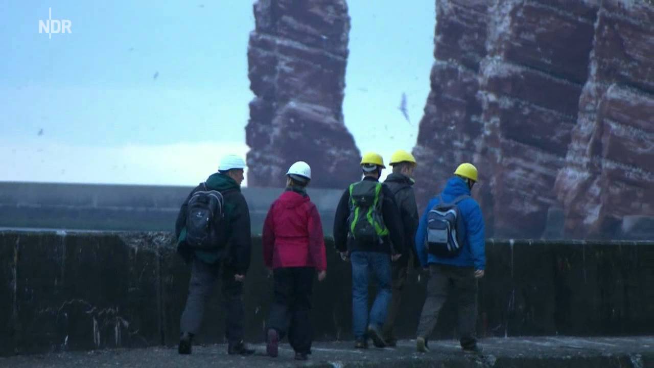 Spektakulär Lummensprung auf Helgoland