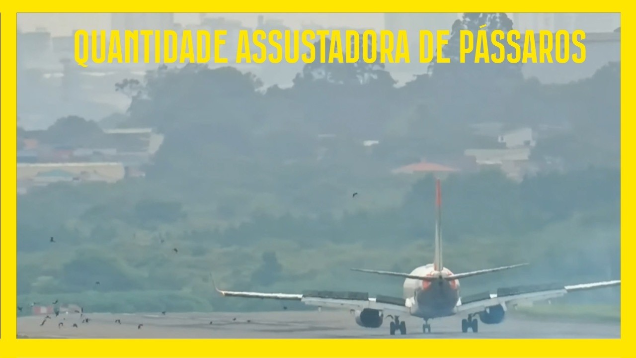 QUANTIDADE ASSUSTADORA DE PÁSSAROS DURANTE POUSO DO 737 DA GOL