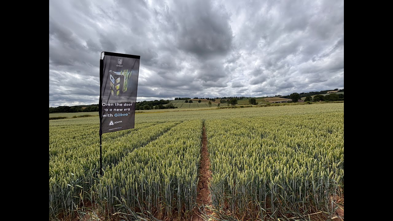 ADAMA in Action: Gilboa in Action