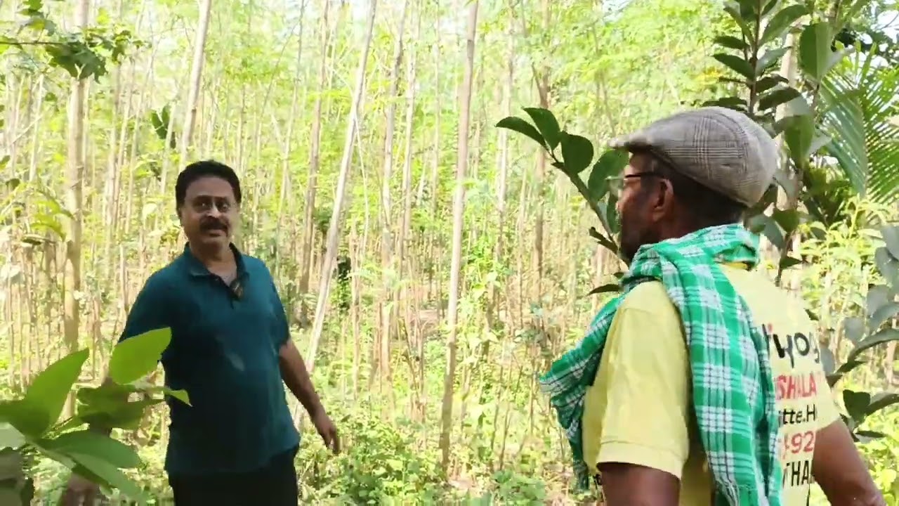 Natural model farm design (part -2) at Thenkalli, Malvalli taluk