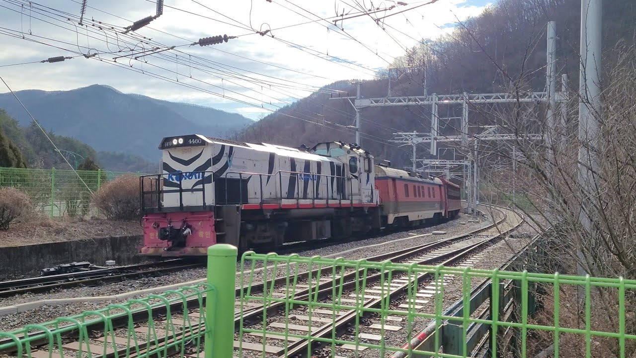 영동선 철암역 인근 철암남부건널목 #2511 백두대간 협곡열차(V-train) 통과 [4K]