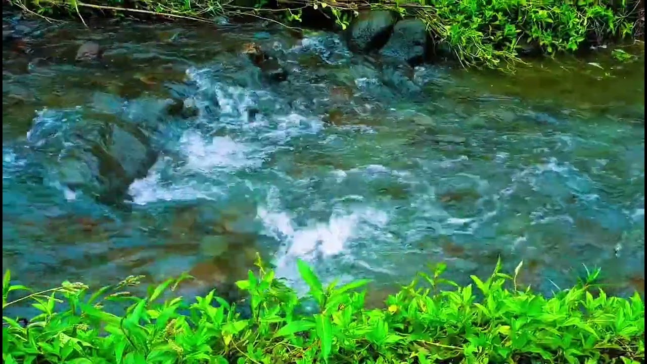Healing River Flow and Whispering Leaves – Peaceful Nature Sounds for Rest, Focus, and M
