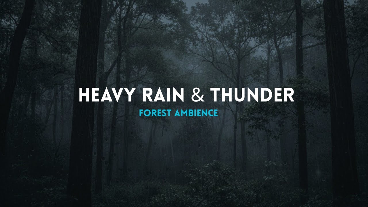 Heavy Rain & Thunder in a Dark Forest | Powerful Storm Ambience for Sleep, Relax and Stress Relief🌧️