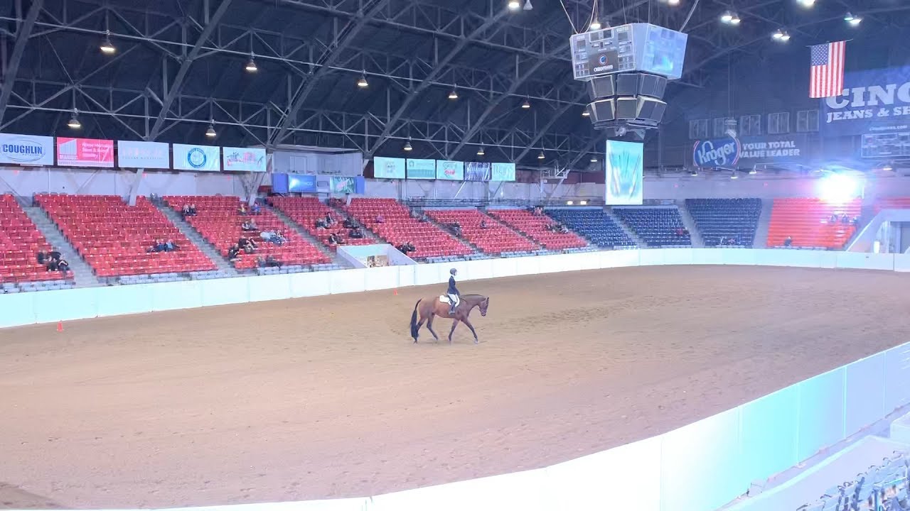AQHA Congress Experience | Vlog | EquestrianBliss