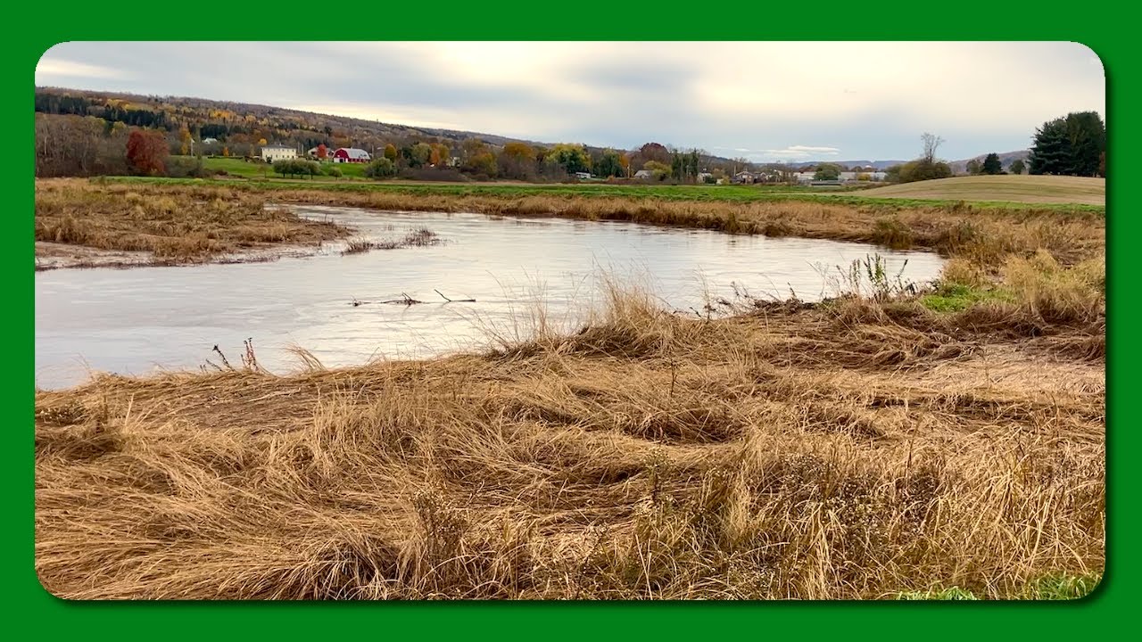 Walking Beside A Winding River