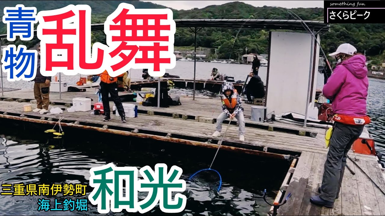 【釣り】朝から青物乱舞！餌のチョイスと付け方が釣果の肝！『和光』初参戦！(三重県南伊勢町)