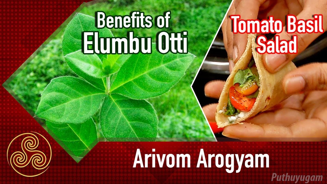 எலும்பொட்டி மூலிகை பயன்கள் | Cherry Tomato Basil Salad Recipe | Arivom Arogyam | 27/04/2018