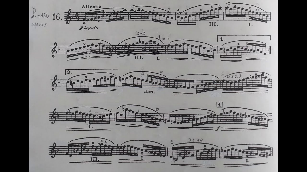 Heinrich Ernest Kayser. Violin Etudes Op. 20, N&ordm; 16 - FABRICIO VALVASORI