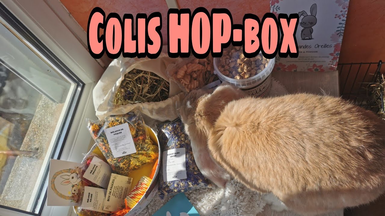 Découverte du colis HOP-BOX 🐰