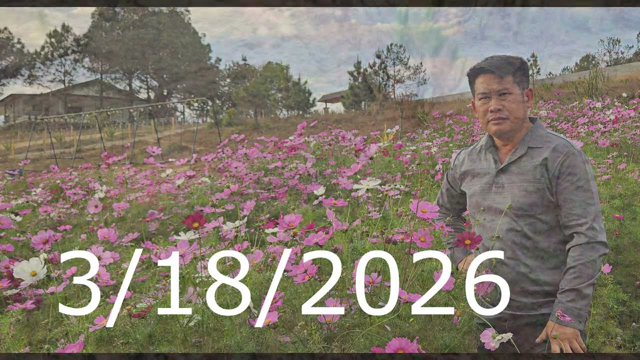 ua 1 siab swb koj vim kuv txom nyem/3/18/2026