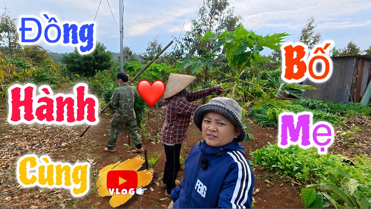 Buổi Sáng Cùng Bố Mẹ Ở Trên Rẫy & Cuộc Sống Nhà Nông Giản Dị || Hải Tí Hon