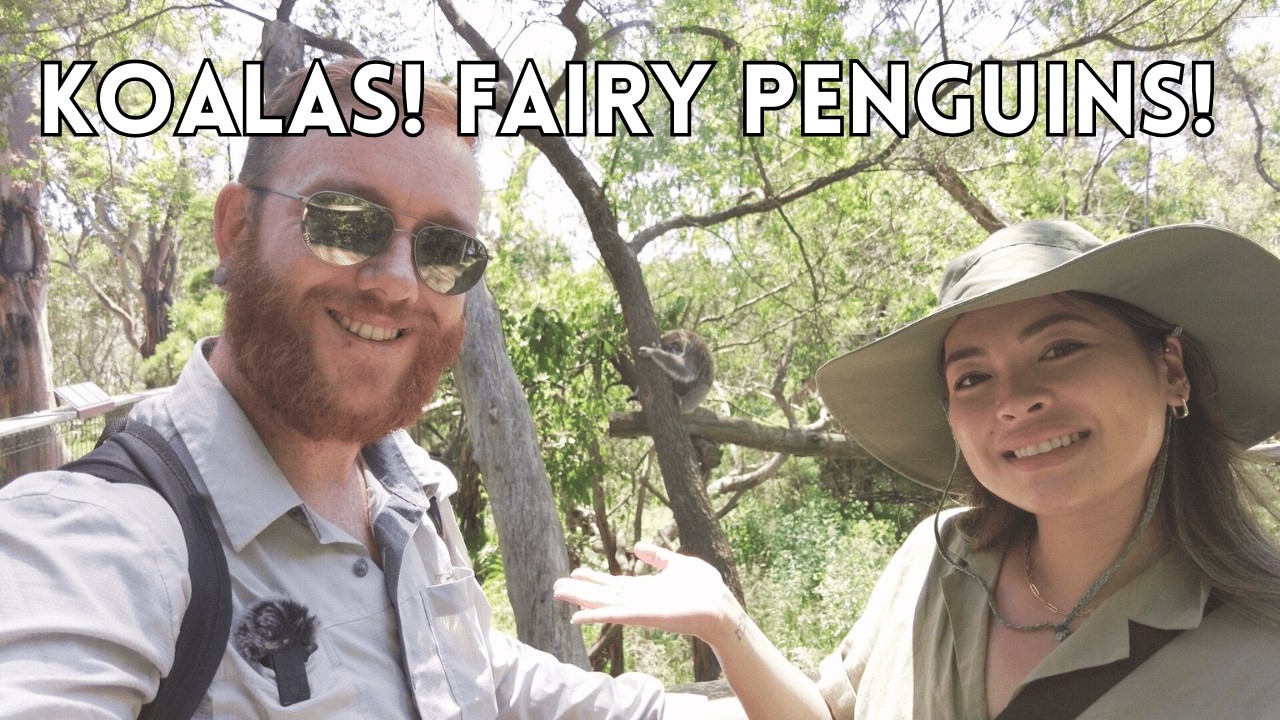 A perfect Melbourne day trip to Phillip Island | Fairy Penguin Parade