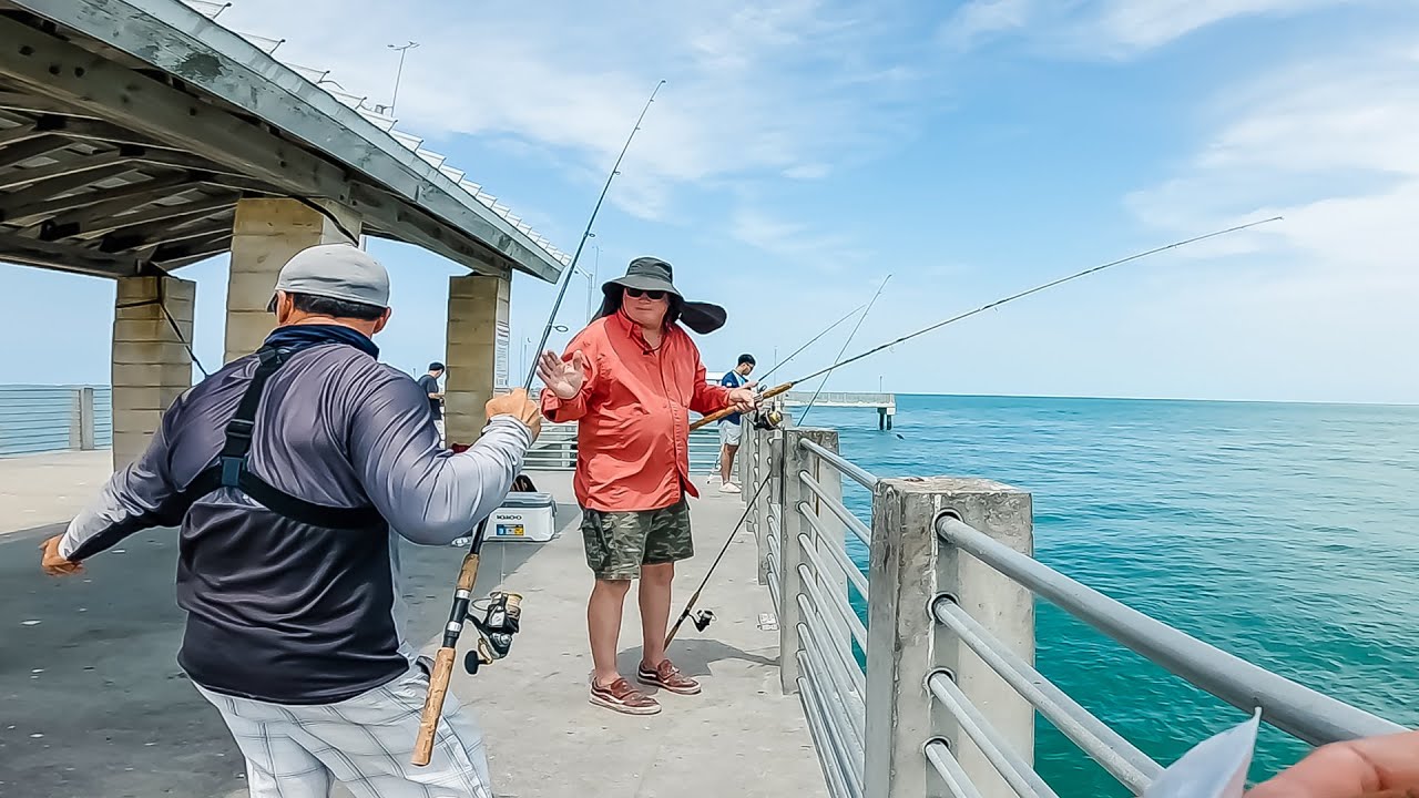 Things Got Hot While Pier Fishing 😱 Catch & Cook