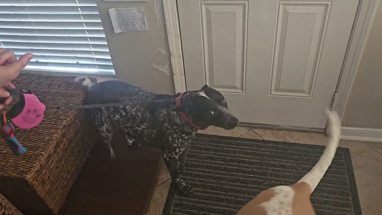 Gamer excited about his walk