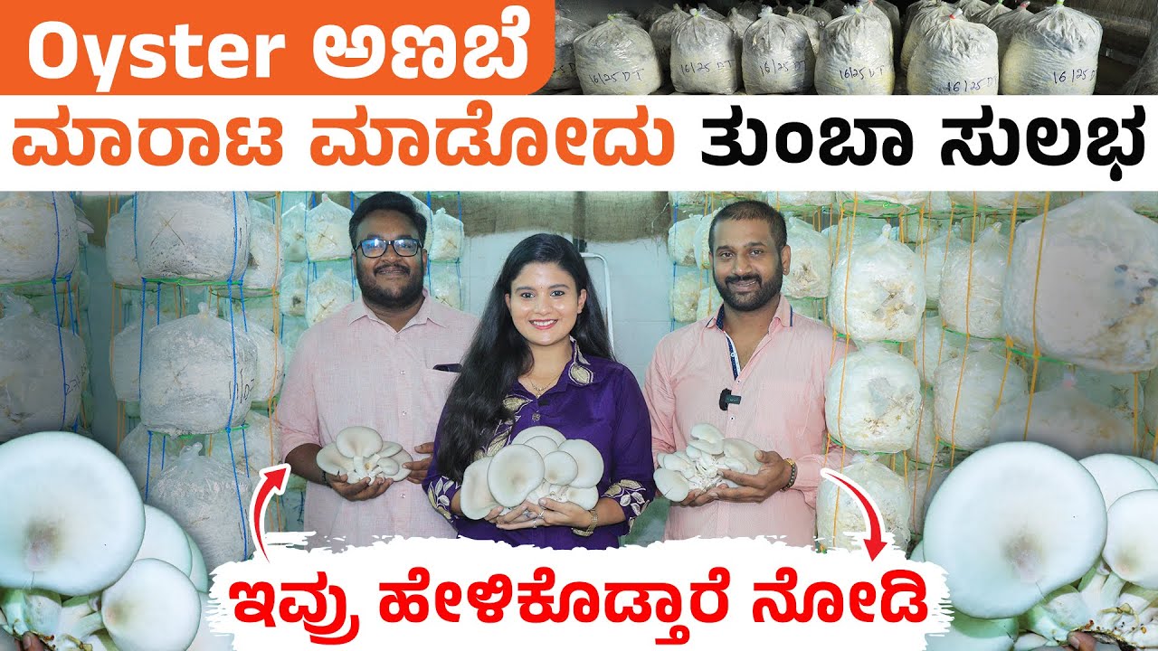 ಸುಲಭವಾಗಿ ಮಶ್ರೂಮ್ ಕೃಷಿ ಮಾಡುವುದು ಹೇಗೆ? Mushroom Harvest & Marketing Step by Step Full Guide Kannada