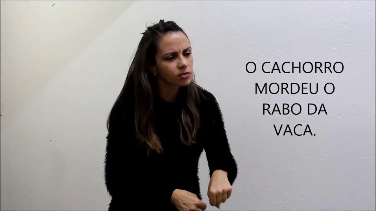 LIBRAS III - FRASES COM USO DE CLASSIFICADORES