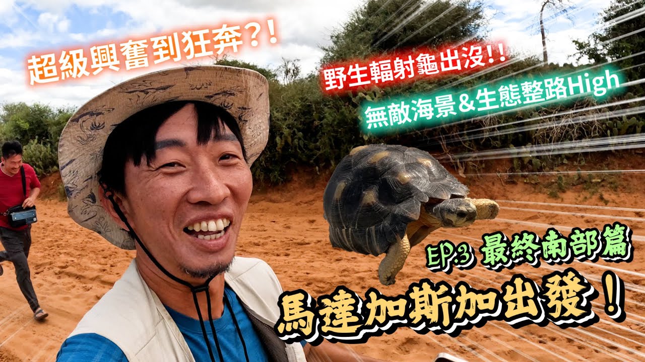 熱血阿傑超狂生態課！馬達加斯加最終回【輻射龜Astrochelys的天堂】龍樹Didiereaceae 漆樹Operculicarya  產地之旅 地毯變色龍