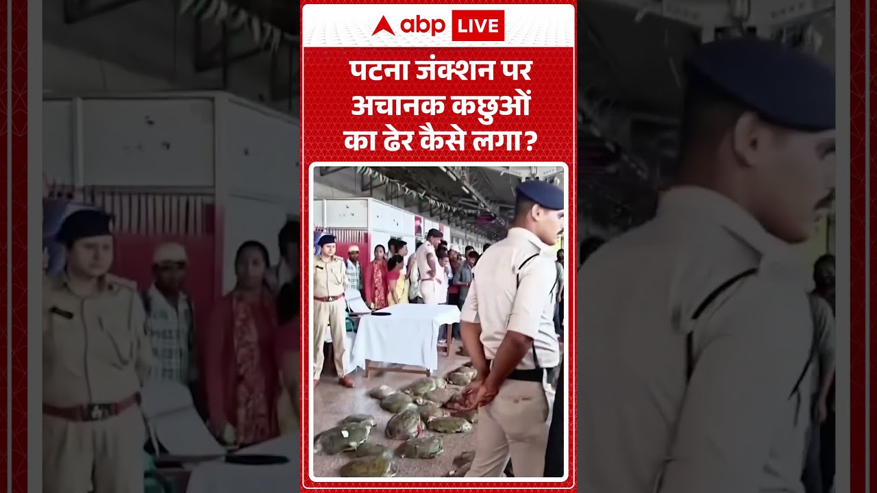Viral News : पटना जंक्शन पर अचानक कछुओं का ढेर कैसे लगा | Bihar latest news | Viral Video | #shorts