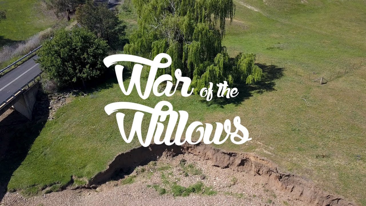 War of the Willows