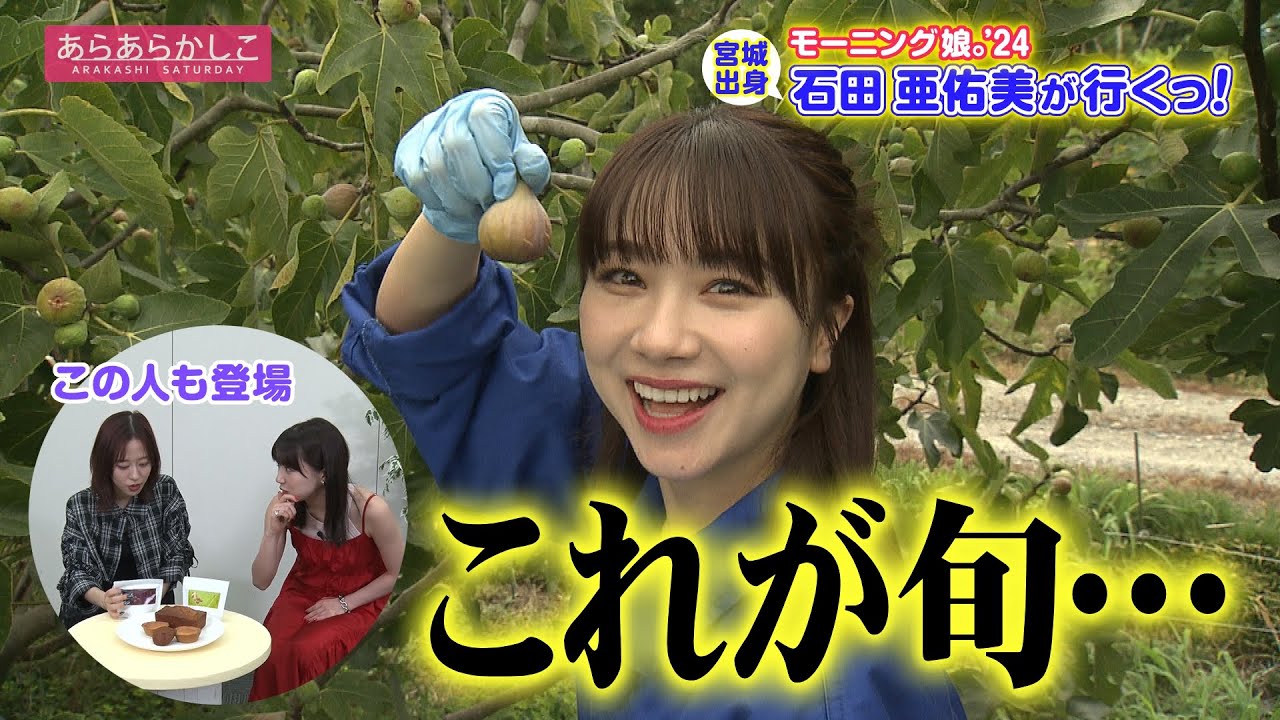 仙台放送あらあらかしこ　石田亜佑美が行くっ！山元町のいちじく編