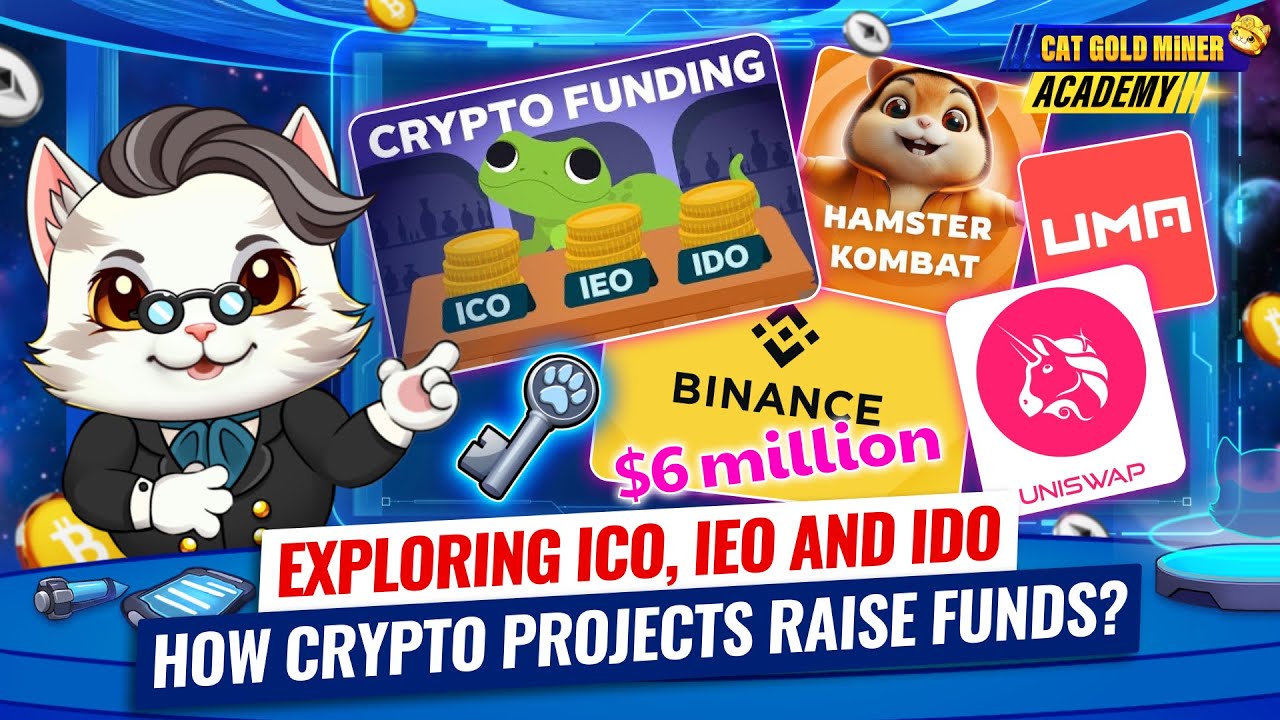 The Difference Between ICO, IEO, IDO And How Crypto Projects Raise Funds⚡️CAT GOLD MINER ACADEMY