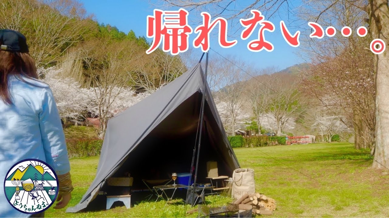 春の湖畔 桜の下で女ひとり幸せ願う花見酒ソロキャンプinふれあいパーク大原湖