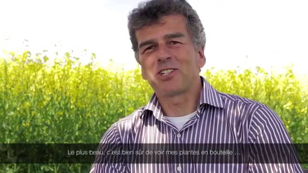 Région Suisse orientale: L’huile de colza de Flawil