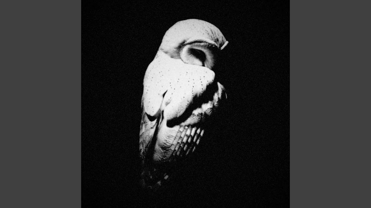 I KNOW BETTER (SLOWED)