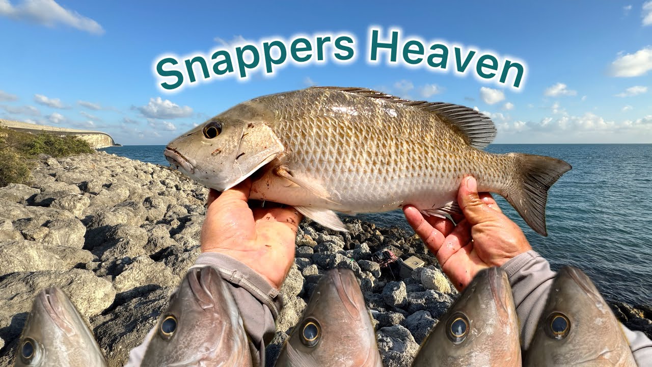 Florida keys Snappers Mayhem-The Best fishing day of 2025
