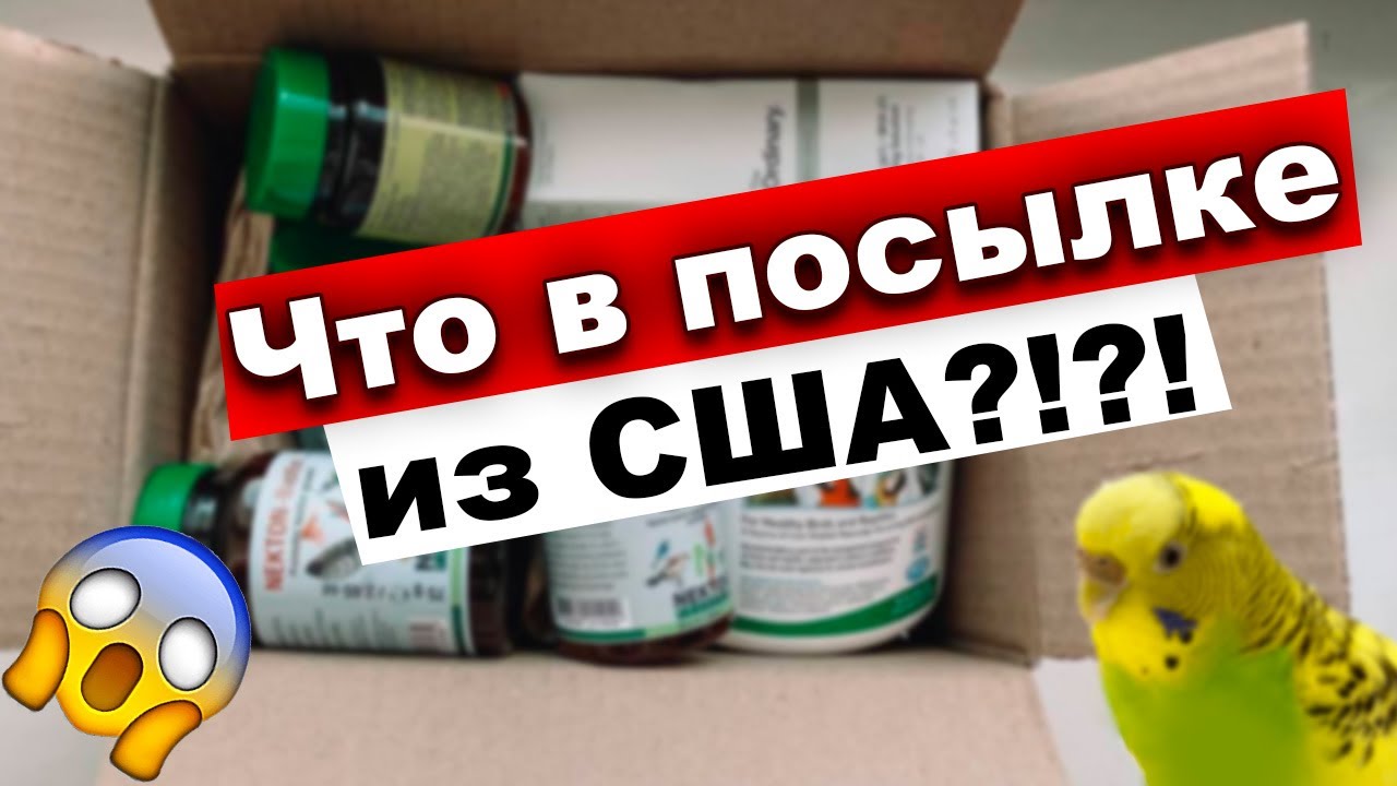 Лучшие витамины для попугая Nekton! Какие витамины нужны попугаю. Benebac Бенебак