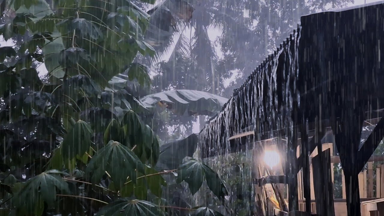 Непрекращающийся тропический дождь с крыши 🌧️ Глубокий сон | Атмосфера холодного дождя