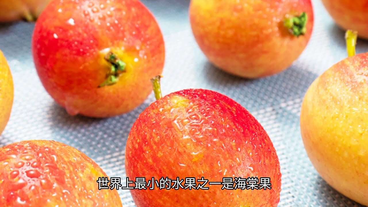 海棠果