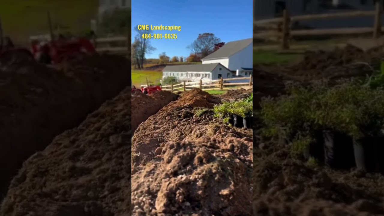 Regrading Project