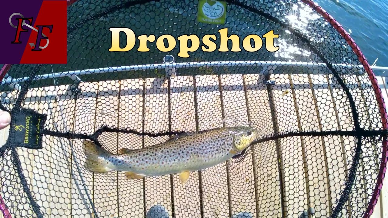 Dropshot fishing for summer trout