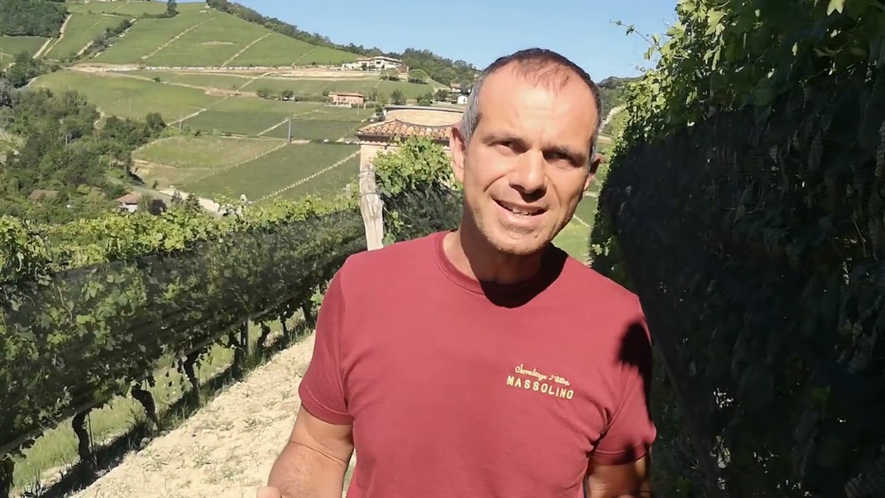Massolino, Piemonte: Slow Wine 2023
