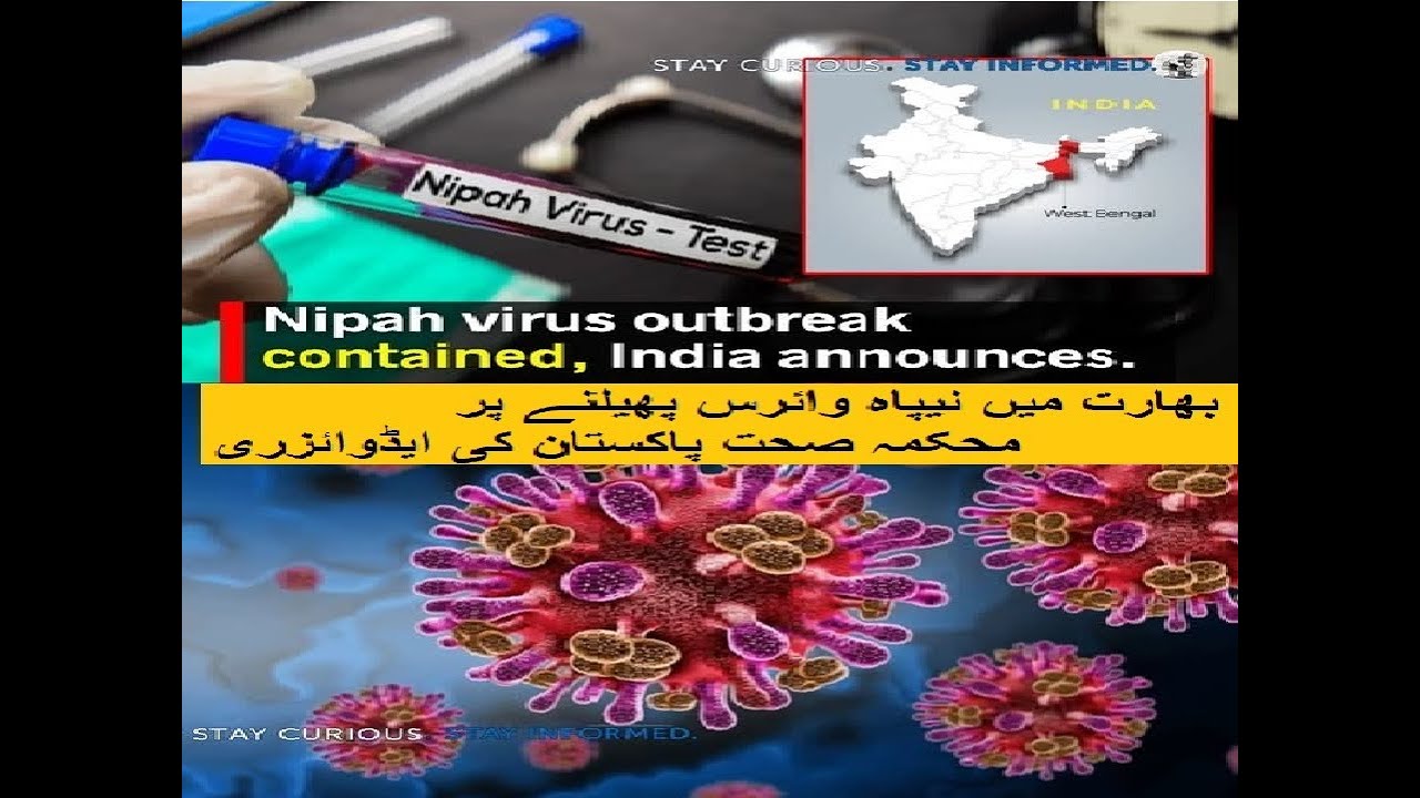 بھارت میں نیپاہ وائرس پھیلنے پر محکمہ صحت پاکستان کی ایڈوائزری  | Neepa Virus : Pakistan High alert