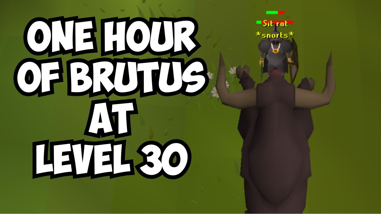 One Hour of Brutus at Lvl30 Combat (Adamant Scimitar)