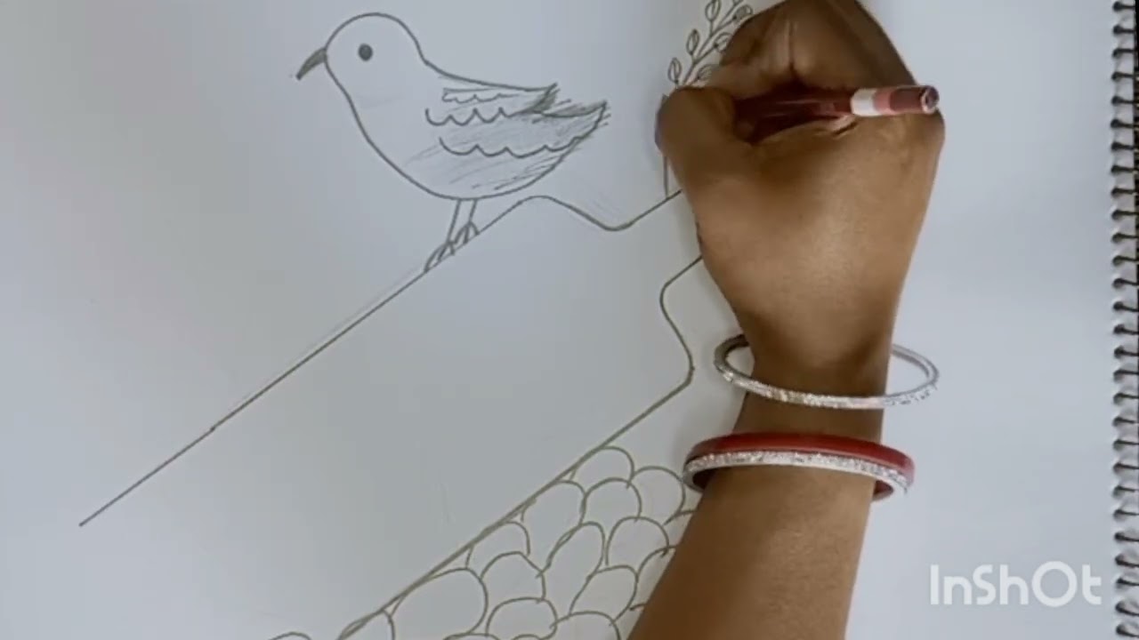 Bird Sketch 