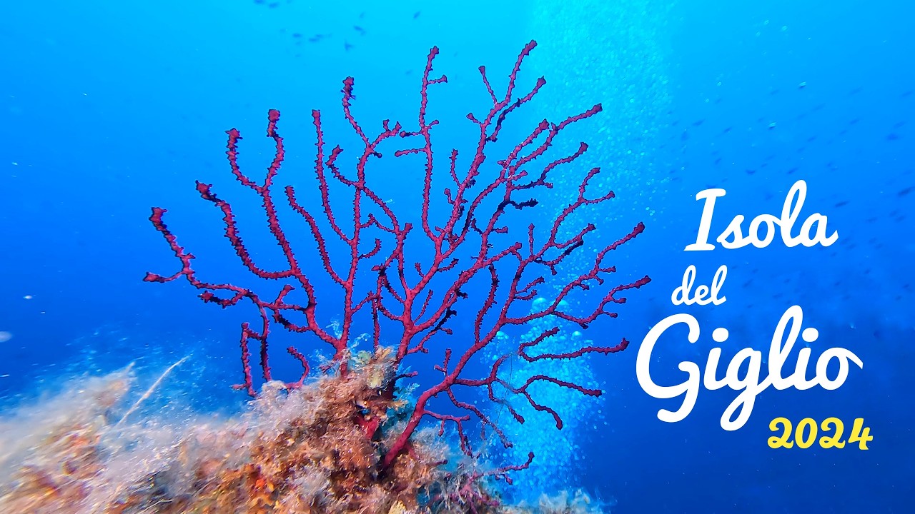 Isola del Giglio + Immersioni 2024