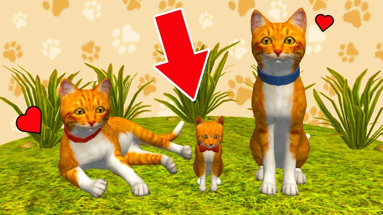 СИМУЛЯТОР КОТА и КОШКИ #6 Родился котенок