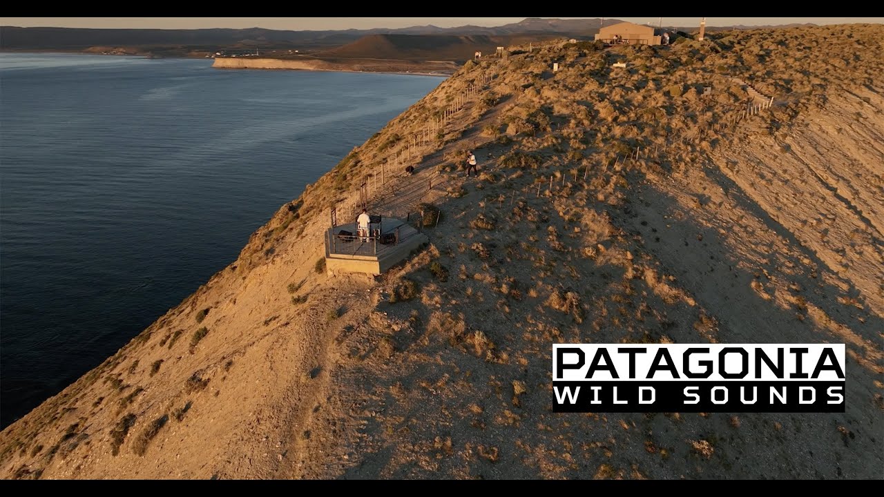 Marcce_A Set Punta Marqu&eacute;s, Rada Tilly,  Patagonia Argentina por Patagonia Wild Sounds