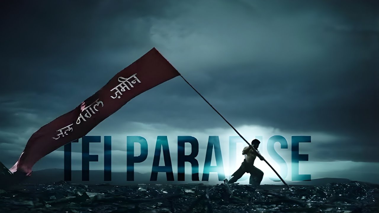 TFI PARADISE 