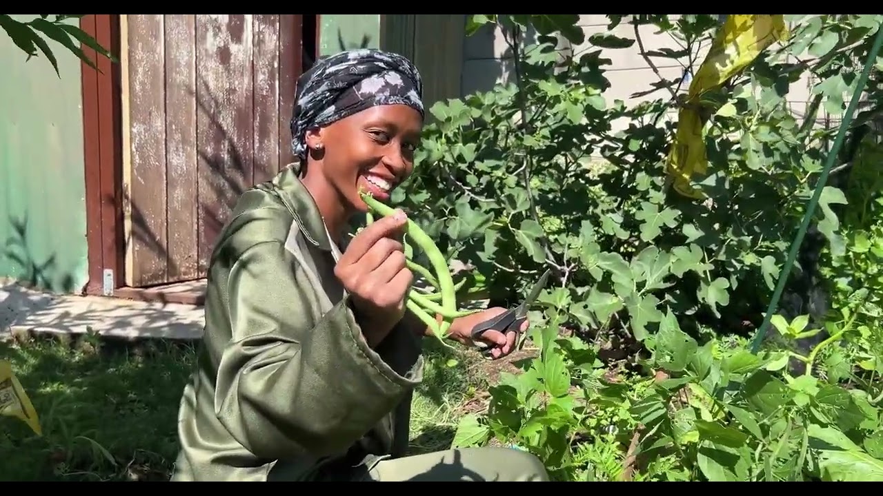 Massive harvest South African homestead