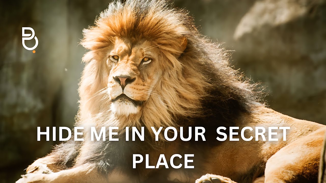 Hide Me In Your Secret Place | Prophetic Prayer Instrumental (Min. Theophilus Sunday)