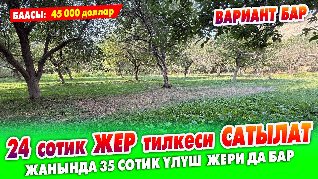 24 сотик ЖЕР тилкеси шашылыш САТЫЛАТ ~ Документи так. 35 сотик үлүш ЖЕРИ да бар. ВАРИАНТ каралат