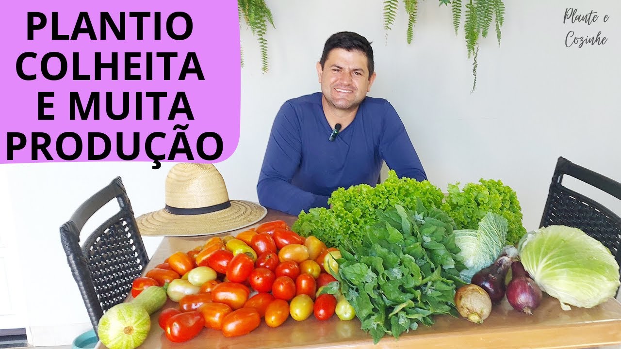 Dia de HORTA COMPLETA! Plantio, Colheita e MUITA PRODUÇÃO! 🌱🍅🥬