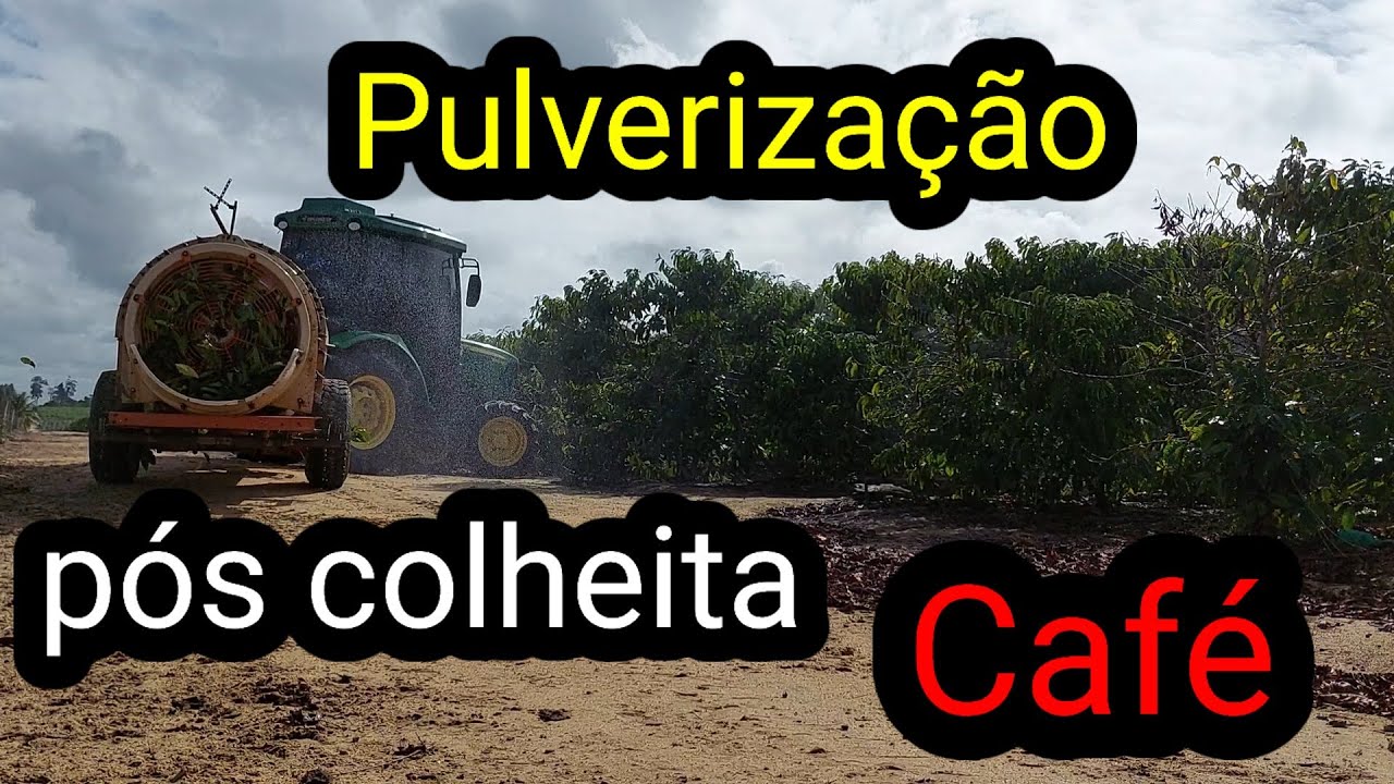 Pulverização em lavoura de cafe ||