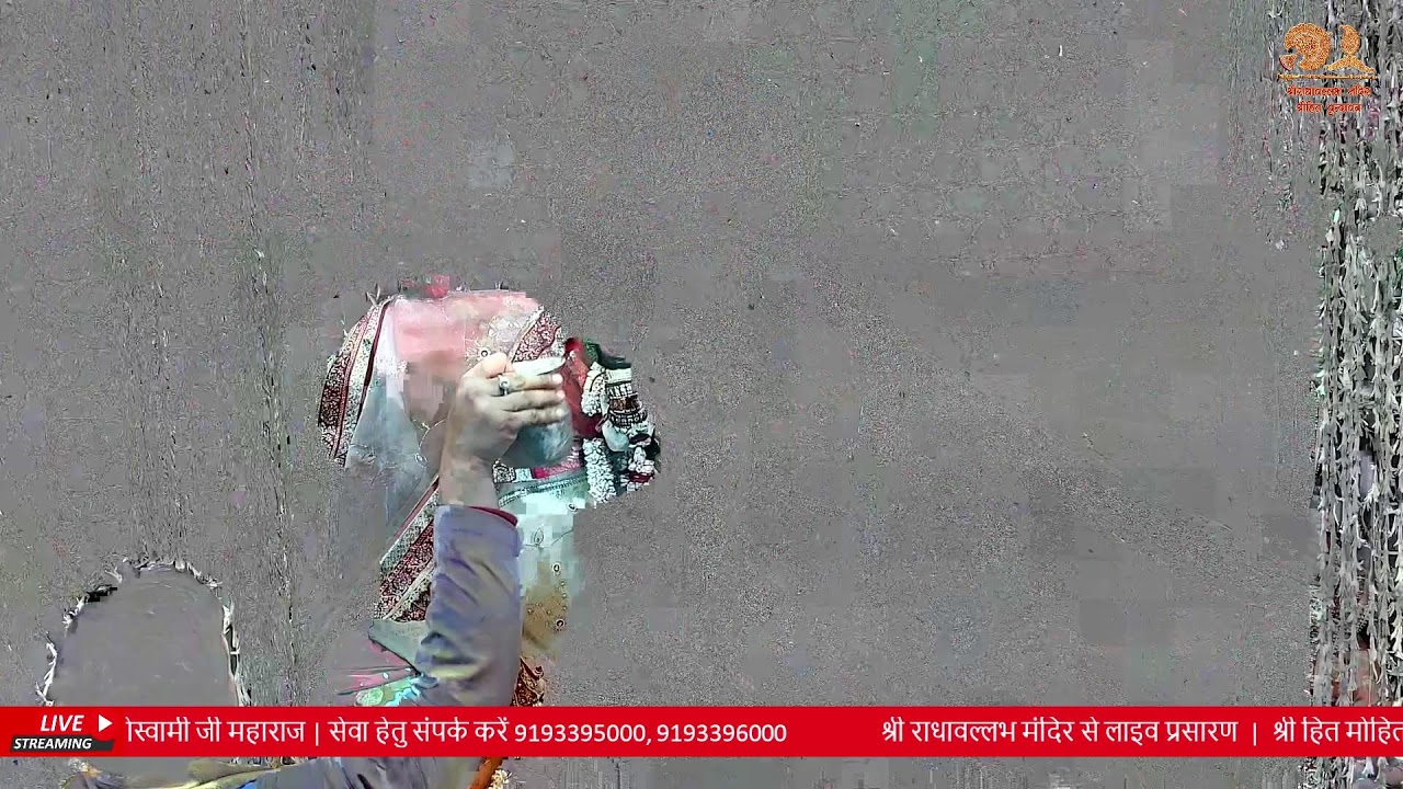 Live : Shri RadhaVallabh Mandir Daily Live Darshan Vrindavan