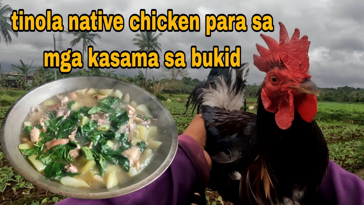 Panalo sa tinola native chicken