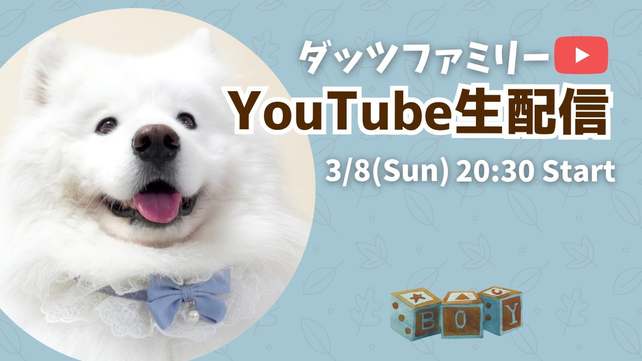 やほ！ダッツくんと話そ！